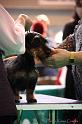 Crufts2011_2 1007